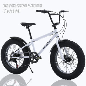 �y�X�[�p�[�Z�[���|�C���g5�{���{���zACEXIS �t�@�b�g�o�C�N Fat City Cruiser BMX ���]�� �V�e�B �r�[�`�N���[�U�[ �t���[�X�^�C�� �X��� 20�C���` �T�C�h�X�^���h �f�B�X�N�u���[�L