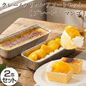 【敬老の日】クレームブリュレセット（プレーン・マンゴ） カタラーナ クリームブリュレ ブリュレ スイーツ ギフト お菓子 プレゼント アイス プリン 詰め合わせ お取り寄せスイーツ スイーツギフト グルメ 送料無料 食品 冷凍