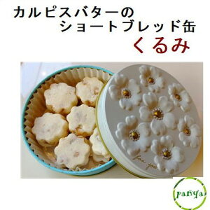  JsXo^[ gpV[gubhʁ@݁iَq̃~J^E u[Pʃu[jNbL[ Mtg Ăَq 蕨