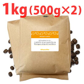 【業務用】ニカラグア・ラコパ・カサブランカ1kg (500g袋×2個) / コーヒー豆