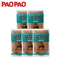 テキサススパイス　詰め替え用（100g）　　5袋セット