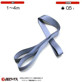 シートベルトスリング 使用荷重500kg 45mm幅×1～4m 使用荷重0.5t 超軽量コンパクト 吊り具 ワイヤーロープ シートベルトスリング S50