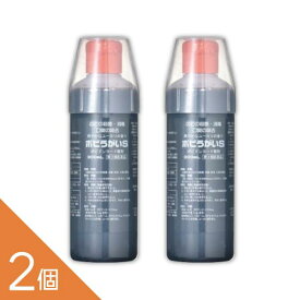 「数量限定特価」 うがい薬 【第3類医薬品】 2本 『ポビうがいS 300mL』 イソジンと同じポピドンヨードのうがい薬 口腔内 のどの殺菌 消毒 洗浄 口臭の除去