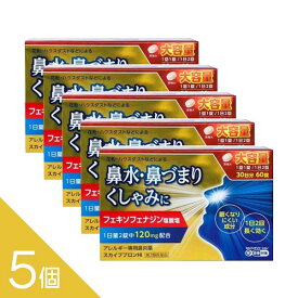 花粉症に！ アレグラ激安ジェネリック 5個 【第2類医薬品】『スカイブブロンHI 60錠 』 アレルギー専用鼻炎薬 しっかり効くのに「眠くなりにくい」 口が乾きにくい【アレグラ アレルビと同じ処方】 【税制対象商品】