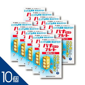 【10個】『パナプレートハーフ 60g 1枚入り』3〜4畳用 吊るすだけ！ ハエ 蚊 ゴキブリ 殺虫プレート 害虫退治 害虫駆除【第1類医薬品】