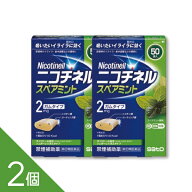 【2個】吸いたいイライラに 『ニコチネル スペアミント 50個』禁煙補助 禁煙ガム ニコチンガム 禁煙サポ…