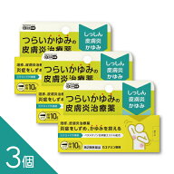 【3個】【ステロイド軟膏】『カユナシン軟膏 10g』 つらいかゆみ 湿疹に 季節の肌トラブル改善 │皮膚炎 …