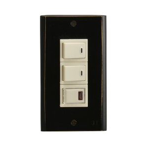 pi\jbN tJ[Ή RZgv[g  ^J XCb`Jo[ ubNi3j790323