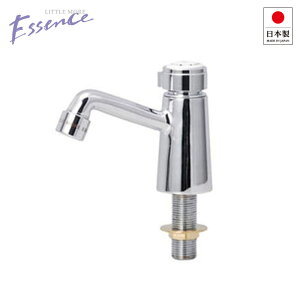 GbZX E260060 P nN N gC  ֌ Vv 