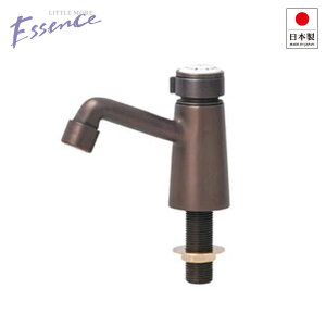 GbZX E260060 P nN uY gC  ֌ Vv 