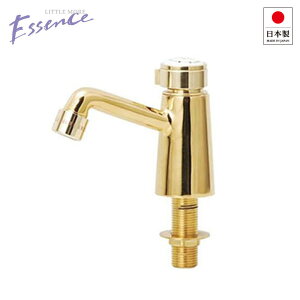 GbZX E260069 P nN uX gC  ֌ Vv 