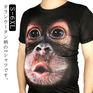 j p[eB IE[^ RXv  YN p[eB[ 3D 3d vg 傫TCY Aj} Aj} TVc {gX nEB Cxg Y  Ղ VN 