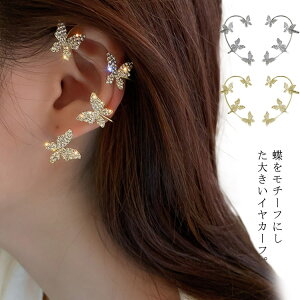 C[Jt X?CXg[ LL mz[sAX C[Nbv 傫 fB[X Ԃ C[JtX l Ўp CJt  ɂȂ gh ؍ S[