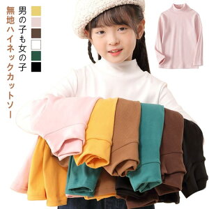 ǂ nClbN TVc O LbY  Ci[ Ci[Vc z j̎q ^[glbN Xg` WjA n Jbg\[ LbYp ۉ  A_[Vc Ci[