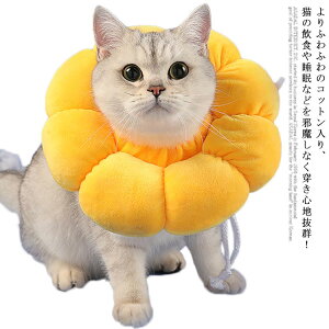 GUxXJ[ L  ybgpi lR  GUxX ی p  r h~ ӂӂ _炩 킢 ߉\