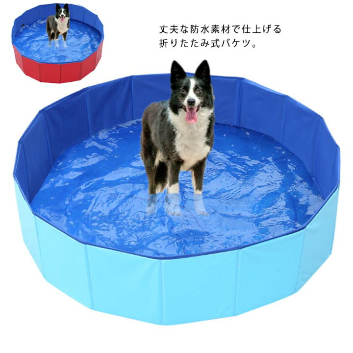 楽天市場 折りたたみバケツ 猫 犬 バケツ 小型犬 大型犬 ペットバケツ バスケット ペットバス お風呂 沐浴 折りたたみ 収納 コンパクト大型バケツ アウトドア 水遊び バケツ 洗車 洗い桶 Apaapa 楽天市場 折りたたみバケツ 猫 犬 バケツ 小型犬 大型犬 ペットバケツ バスケット ペットバス お風呂 沐浴 折りたたみ 収納 コンパクト大型バケツ アウトドア 水遊び バケツ 洗車 洗い桶 Apaapa