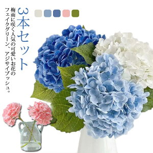  t[ z AWTC AI 3{Zbg  􂦂 ԕ   sv CeA  C[ ϗtA  GR Mtg tFCNO[ 