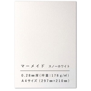 }[Ch  Xm[zCg A4 153kg 0.28mm p  vg H