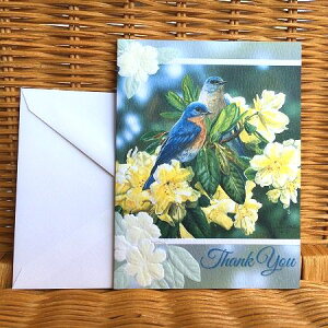USA Pumpernickel Press TL[J[h VNiQƐ Bluebird Bliss