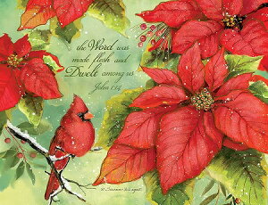 LANG O NX}XJ[h |CZ`AƃREJ`E Poinsettia Grace
