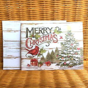 LANG O NX}XJ[h c[&REJ`E Pine Forest