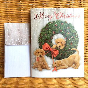 LANG O NX}XJ[h D uh̎q Wonder and Joy