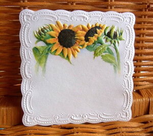 AIUSA Carol Wilson LEB\t@V[m[gipj5ZbgЂ܂ Sunflower