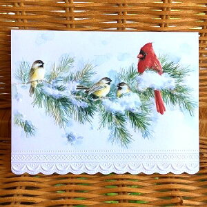 USA Carol Wilson �L�������E�B���\�� �N���X�}�X�J�[�h �쒹 Cardinals