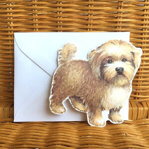 USA Carol Wilson �L�������E�B���\�� �_�C�J�b�g ���ړI�J�[�h Lhasa Apso