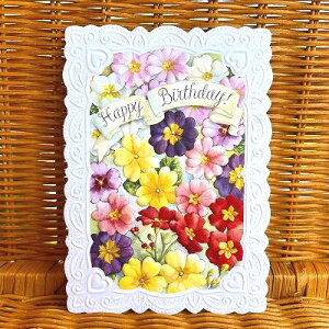 USA Carol Wilson �L�������E�B���\�� �唻 �o�[�X�f�B�J�[�h Primula