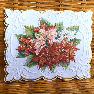 Carol Wilson �L�������E�B���\�� �N���X�}�X�J�[�h �|�C���Z�`�A Poinsettia