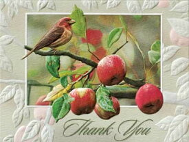 USA Pumpernickel Press サンキューカード リンゴの木と小鳥 Apple Time