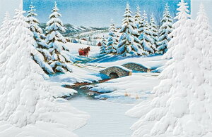 USA Pumpernickel Press NX}XJ[h 唻@NX}X̓ Christmas Is Coming