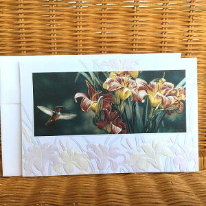 USA Pumpernickel Press �o�[�X�f�B�J�[�h ���唻 �����ƃn�`�h�� Brand New Day