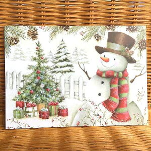 USA LPG NX}XJ[h 唻 ̃Xm[} Winter's Beauty