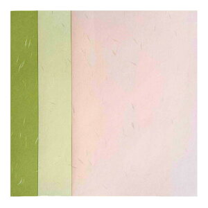 a J[玆 A6 or ͂TCY 200 (A4Jbgi) y OAa p