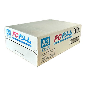 FCh[ A3 250×6 F  Rs[p 80g/m2 y Rs[p p OAp 9800~ȏ 