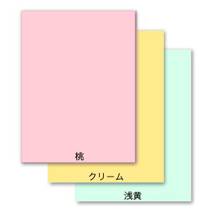 YJ[Rs[p }`J[y[p[ orN[or B5 (500)