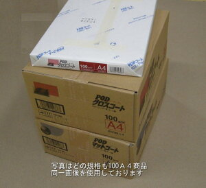 J[[U[p PODOXR[g 100 A3 (SRA3) 1000 (250×4) A3mr SRA3 U[v^[p Rs[p p 9800~ȏ 
