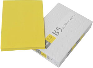 APPJ カラーコピー用紙 B5 500枚 ダークイエロー 黄色 カラーペーパー