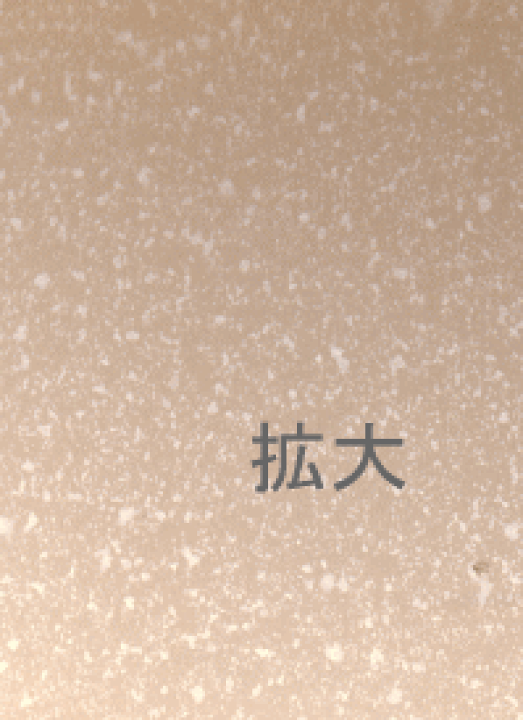 楽天市場】サンプル用 シャイナー 桜 120k A4 (1枚) 印刷用紙