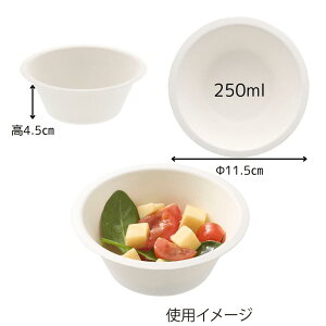 HEIKO M Ɩp oKXy[p[EFA ǂԂ zCg 50yPPIz