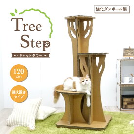 楽天市場 キャットタワー ダンボールの通販