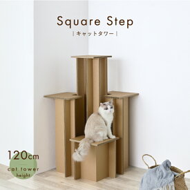 【環境に優しい 猫家具】キャットタワーおしゃれ 据え置き【スクエアステップ】猫 高さ120cm段ボール ダンボール 軽量 スクエア デザイン 左右対称シンプル インテリア 室内 日本メーカー
