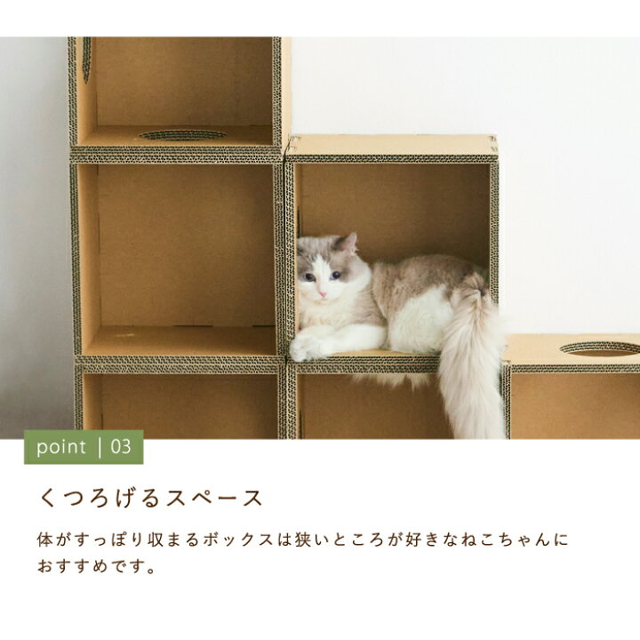 楽天市場】【環境に優しい 猫家具】キャットタワー キャットハウス 棚 
