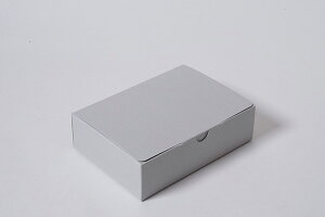 NBOX 8 َqp Mtg{bNX  20Zbg O[ lCr[ () n | i23.8cm×12.6cm×5cmj| ` ϔ bsO  BOX  pbP[W i | X psG{ papi