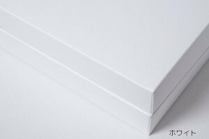 C[  َq R[q[ Mtg{bNX  10Zbg Xg[O[ u[ zCg () n | i12cm×23.7cm×5.6cmj| ` ϔ bsO  BOX  pbP[