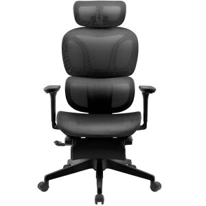 FLEXISPOT �I�t�B�X�`�F�A �f�X�N�`�F�A C7 �l�ԍH�w �G���S�m�~�N�X�`�F�A ���b�V���`�F�A �Ɨ��^�����o�[�T�|�[�g ���N���C�j���O�\ �V���N�����b�L���O ���ʉ��s�����\ 2D�w�b�h���X�c
