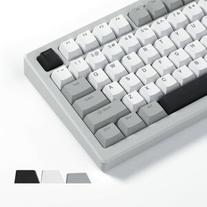 WOMIER PBT�L�[�L���b�v�A�_�u���V���b�g�A�`�F���[�v���t�@�C���ACHERRY�EGATERON�EMX�X�C�b�`�Ή��A60%�E75%�E100%�L�[�{�[�h�p
