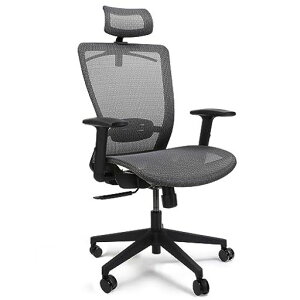 FLEXISPOT �I�t�B�X�`�F�A �f�X�N�`�F�A OC3 ���@�\���� �V���N�����b�L���O 3�i�K�Œ� ���b�V���f�� 2D�w�b�h���X�g �A�[�����X�g �����o�[�T�|�[�g �É��L���X�^�[ �R�[�g���b�N�t��(�O���c